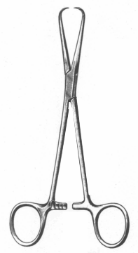  Bernhard Forceps